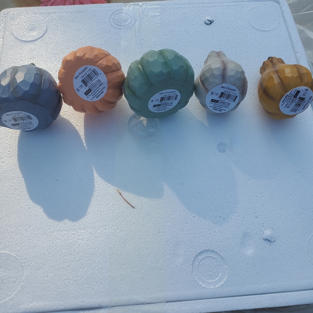 20pc Case Mini Decorative Pumpkins - Picture 3 of 5